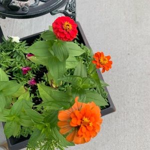 Meet your Posher, Jess